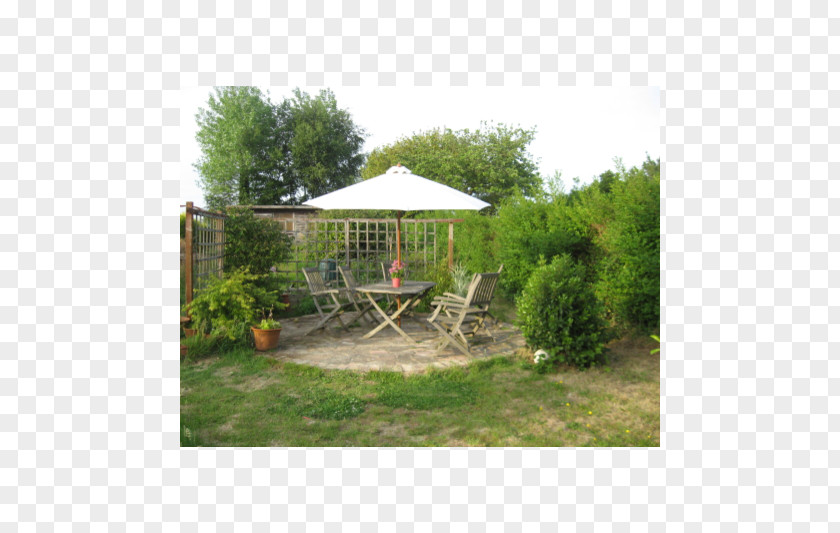 Tree Backyard Gazebo Shade Landscape Property PNG