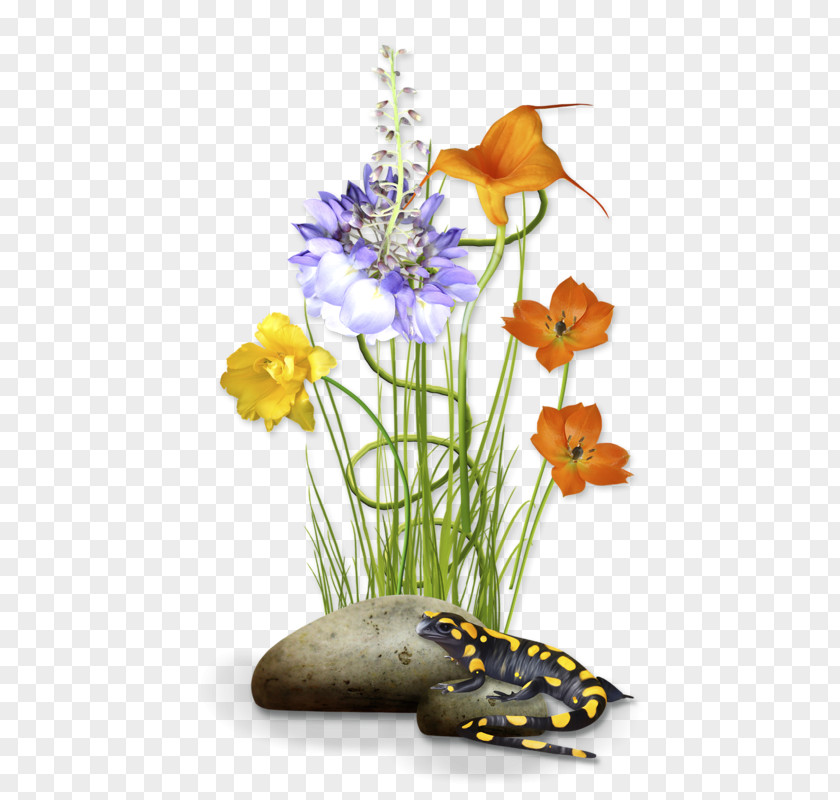 Flower Floral Design PNG