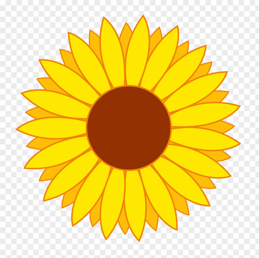 Flower Vector Common Sunflower Clip Art PNG