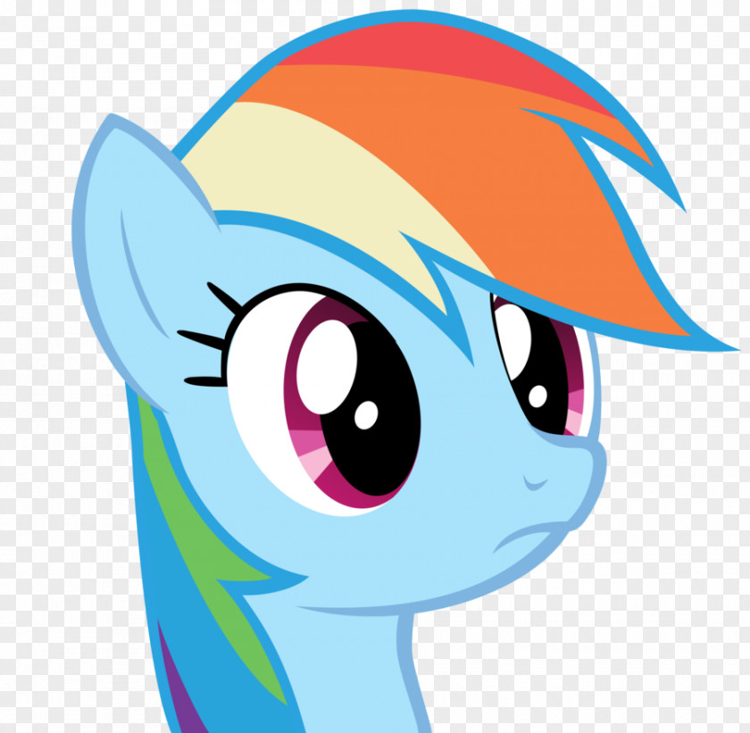 My Little Pony Rainbow Dash Applejack Pinkie Pie Rarity PNG