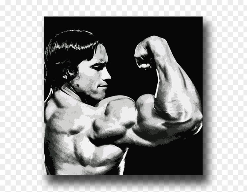 Arnold Schwarzenegger Arm Bodybuilding Biceps Muscle PNG
