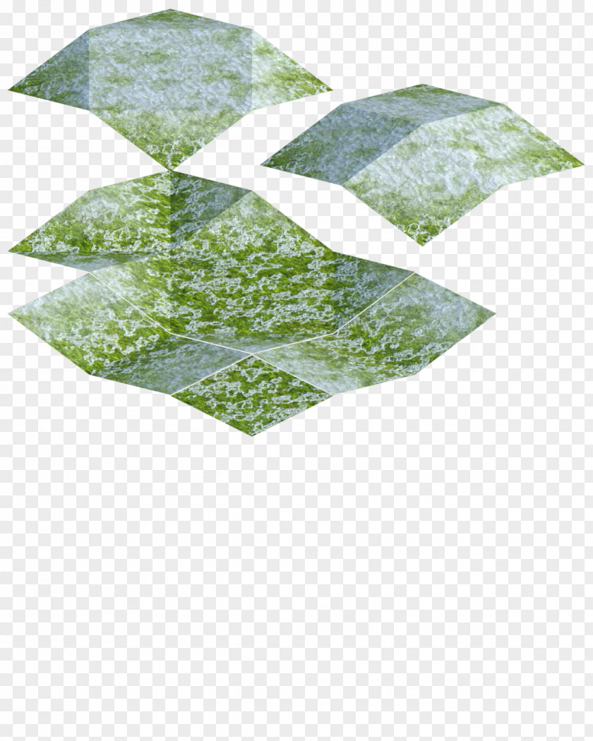 Chang Green Leaf PNG