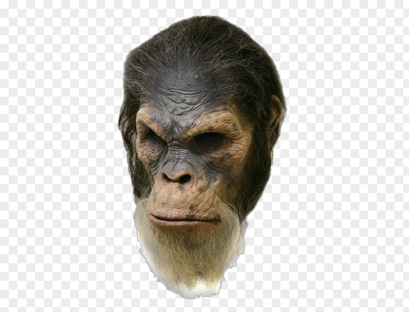 Gorilla Common Chimpanzee Planet Of The Apes Sculpture PNG