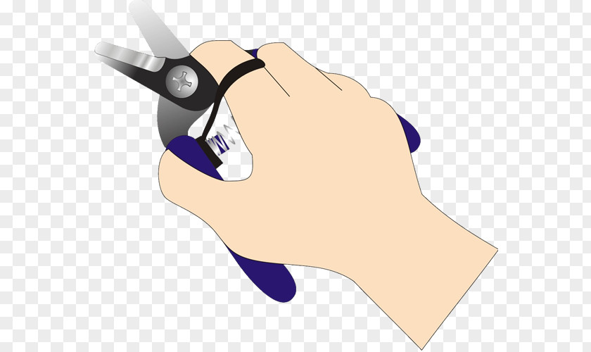 Grape Drawing Scissors Harvest Paper PNG