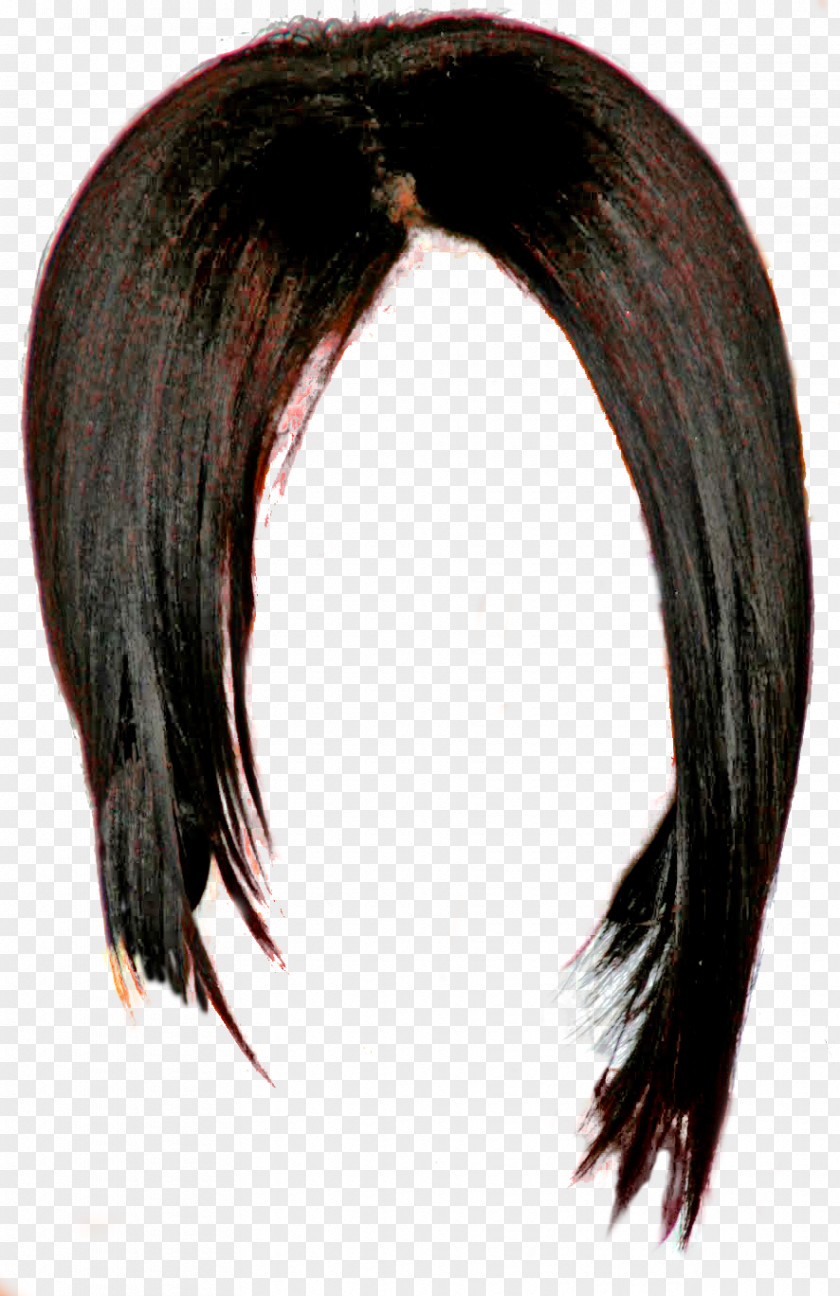 Hair Chibiusa Hairstyle Wig Eyebrow PNG