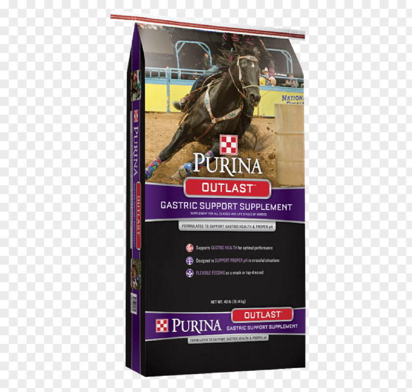 Horse Outlast Purina Mills Nestlé PetCare Company Equine Nutrition PNG