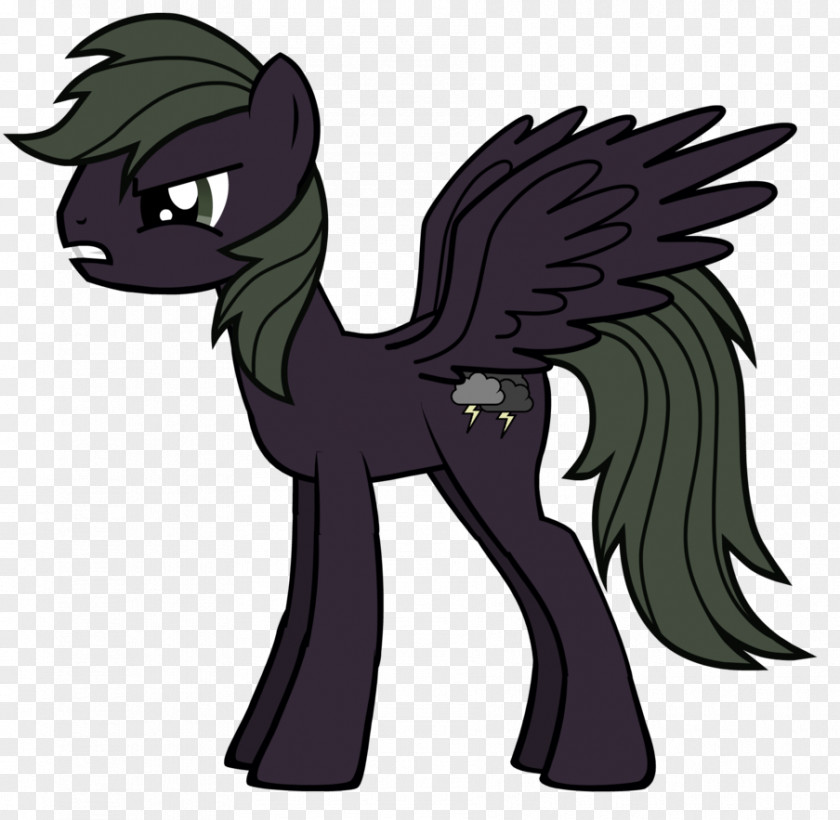 Horse Pony Derpy Hooves Fluttershy Rainbow Dash Twilight Sparkle PNG