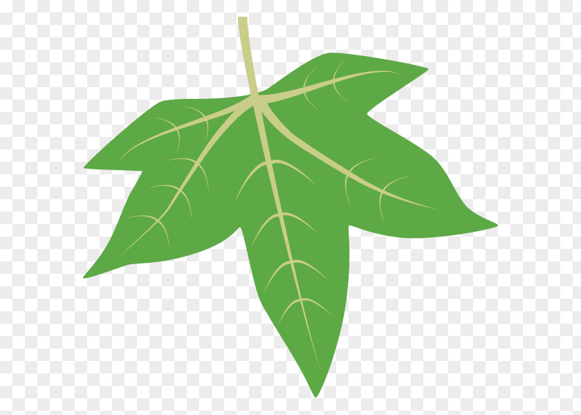 Leaf Dinosaur Planet Tree Sweetgum Arbor Day Foundation PNG