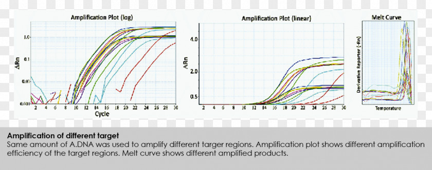 Mixed Techniques Network Cables Line Angle Product Design Computer PNG