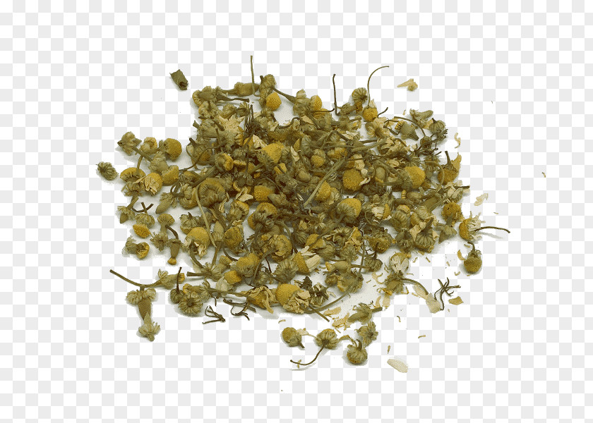 Tea White Biluochun Roman Chamomile Infusion PNG