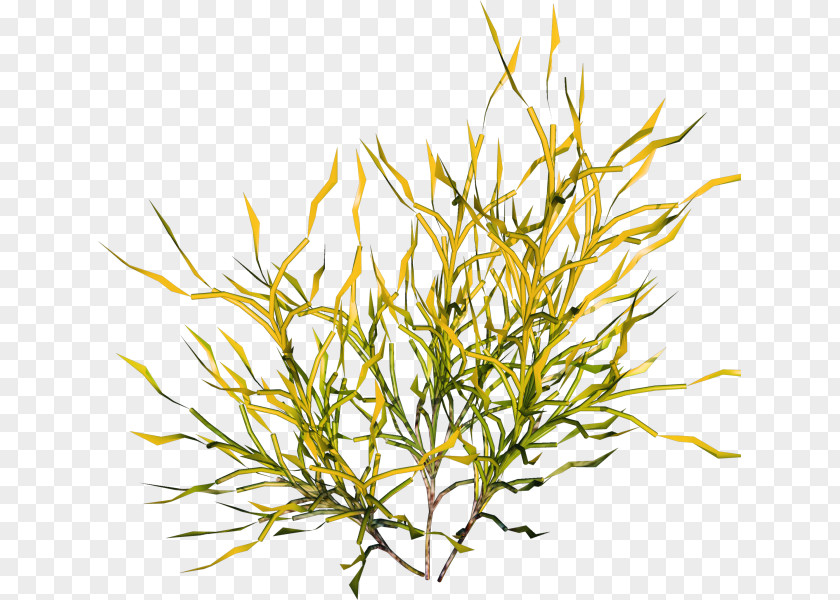 Yellow Green Simple Grass Decoration Pattern Clip Art PNG