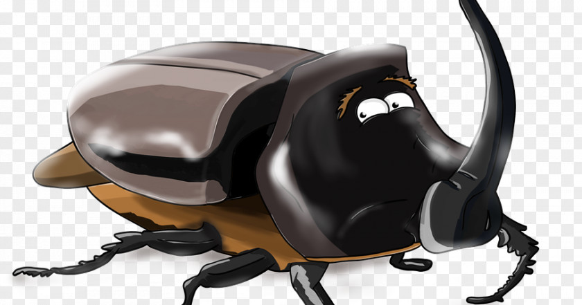 Beetle European Rhinoceros Dynastinae PNG