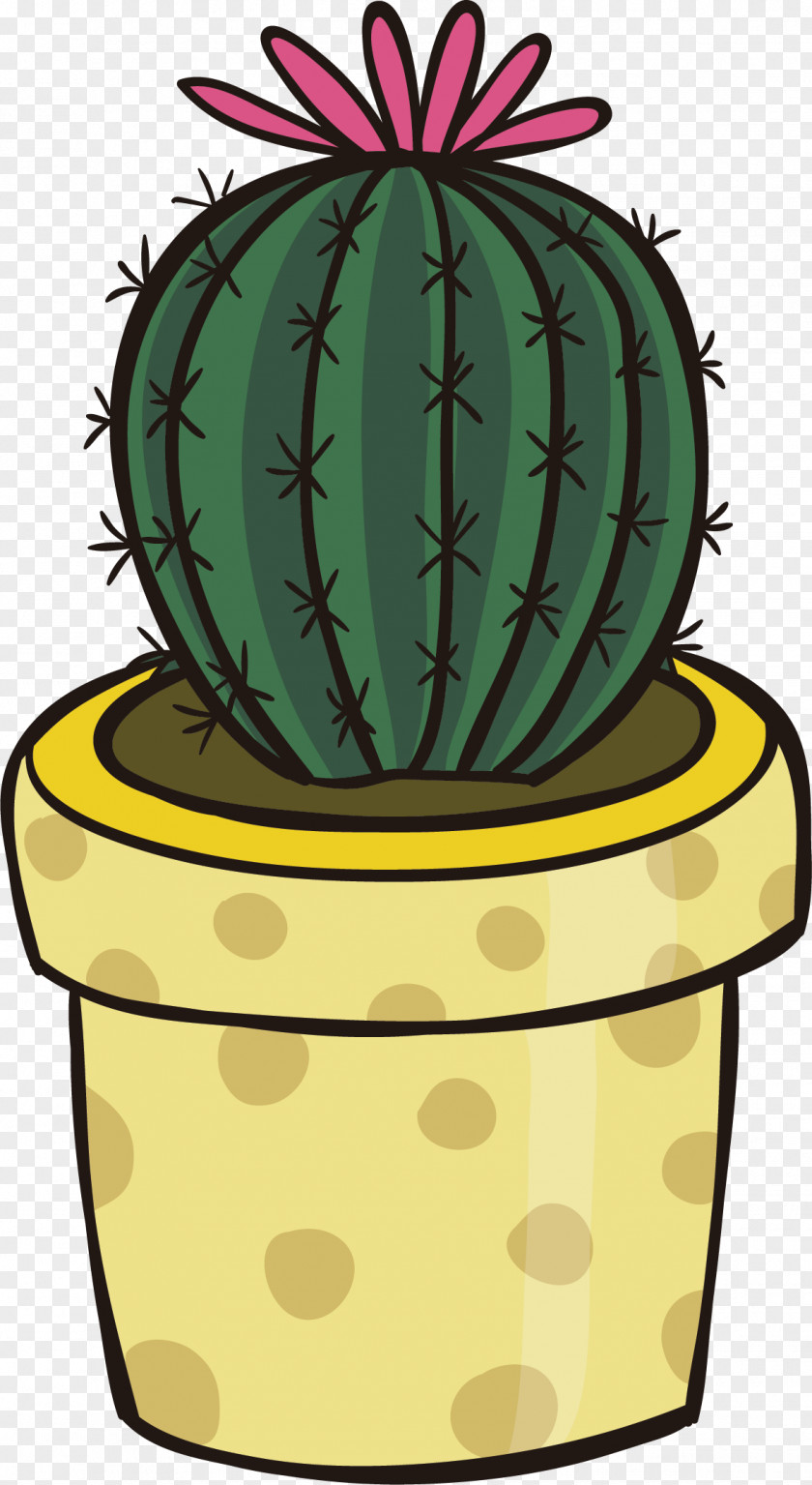 Cactus Vector Cactaceae Clip Art PNG