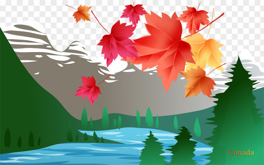 Canada Leaves Flower Wallpaper PNG