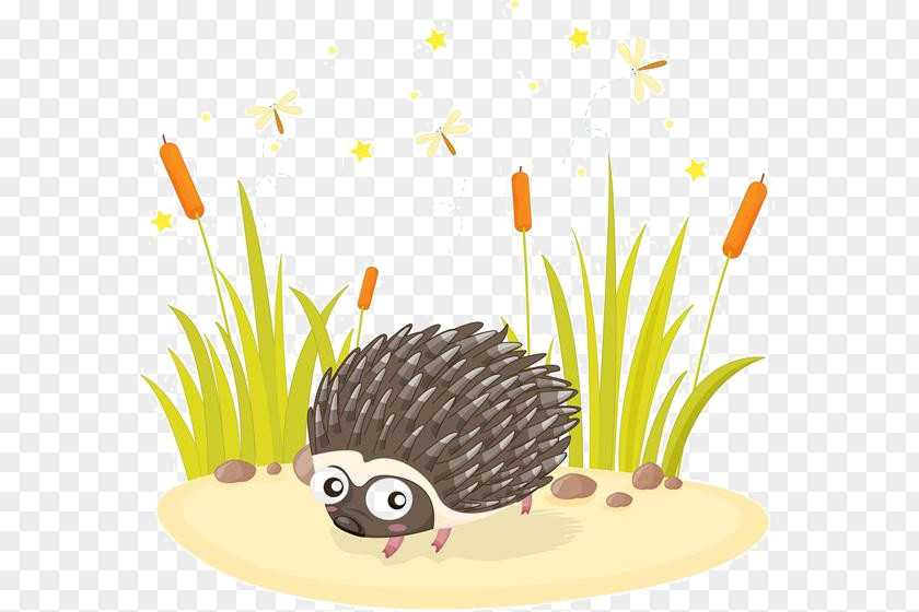 Cartoon Grass Hedgehog Material Drawing Illustration PNG