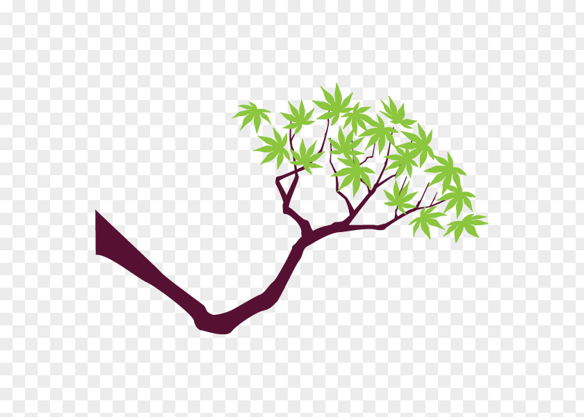 Clip Art Leaf Plant Stem Line PNG