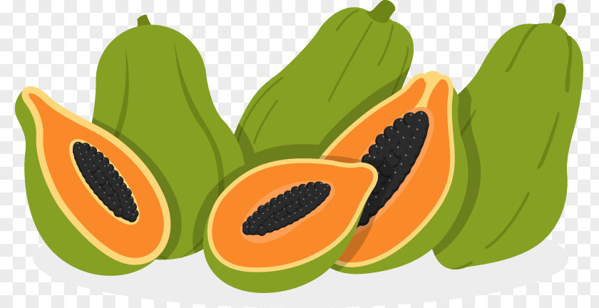 Papaya Euclidean Vector Fruit Illustration PNG