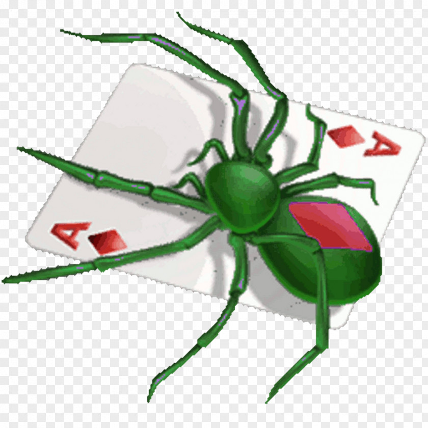Spider Microsoft Solitaire Free Patience PNG
