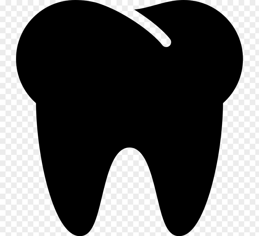 Tooth Human Dentistry PNG