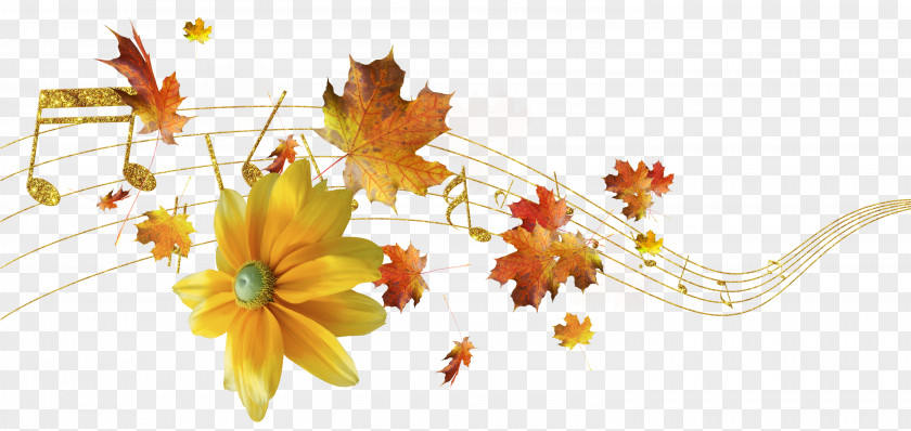 Wildflower Branch Maple Leaf PNG