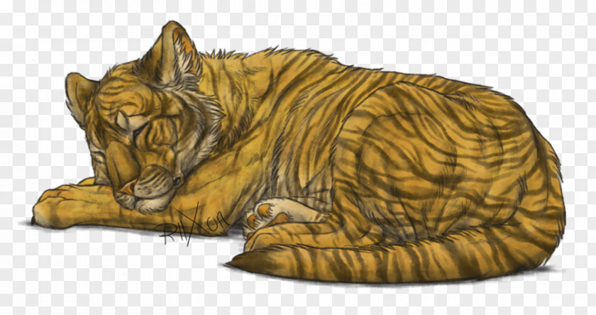 Baby Tiger Lion Whiskers Cat DeviantArt PNG