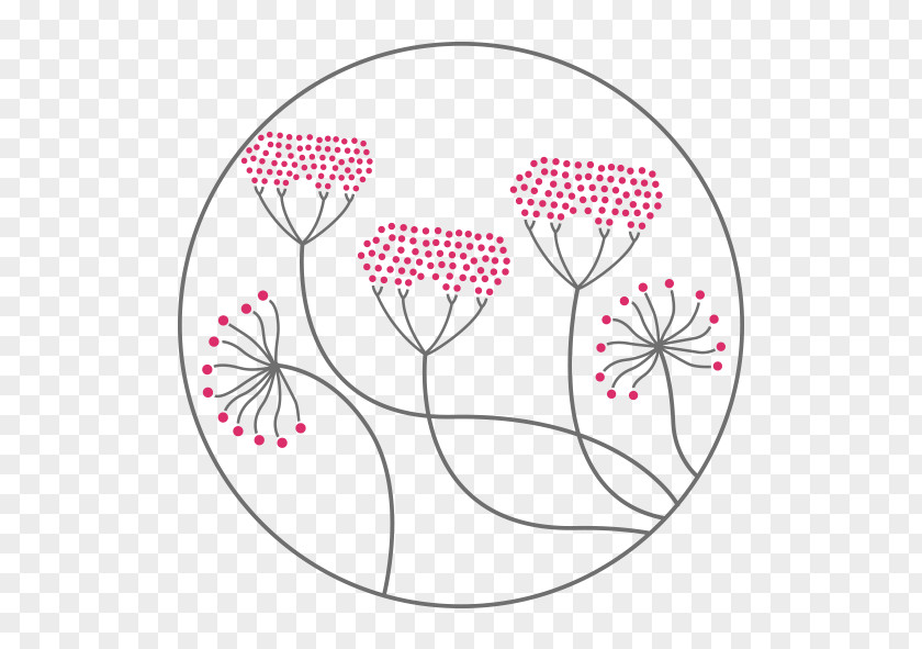 Circle Floral Design Cut Flowers Flowering Plant Pattern PNG