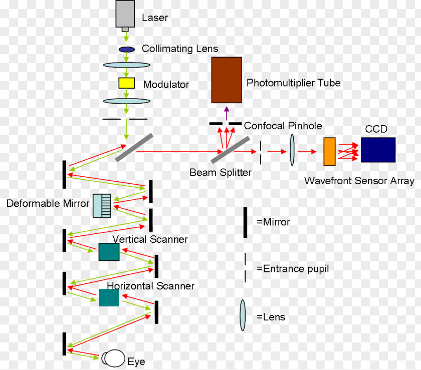 Eye Scanning Laser Ophthalmoscopy Retina Confocal Microscopy PNG