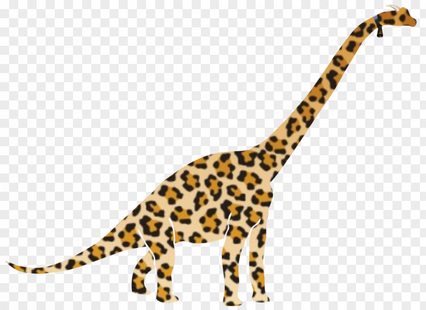 Monkey Giraffe Leopard Cheetah Arrows F-02H MEDIAS PNG