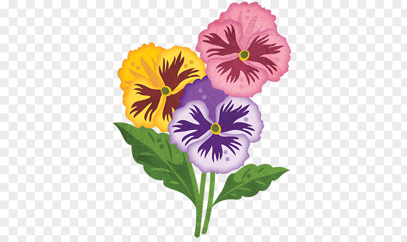 Seeds Pansy Annual Plant Flower Viola Cornuta PNG