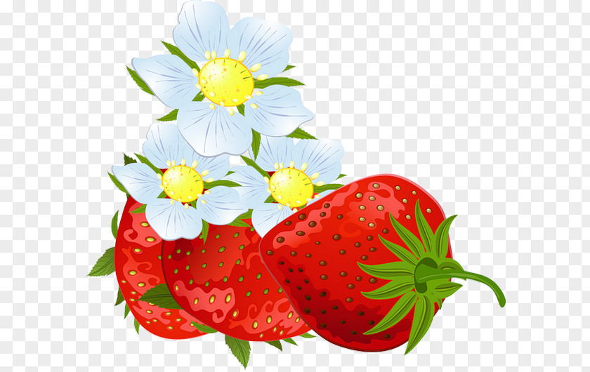 Strawberry Photography Clip Art PNG