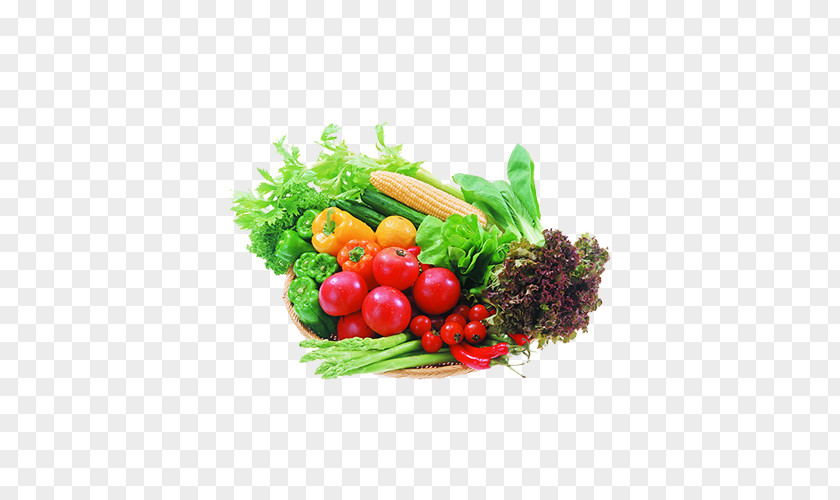 All Kinds Of Vegetables Map Organic Food Vegetable Salad Eating PNG