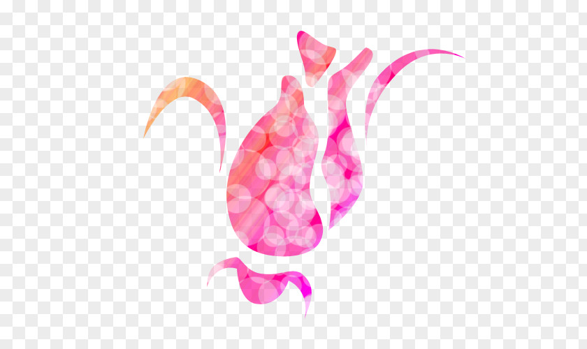 Boken Silhouette Pink M PNG