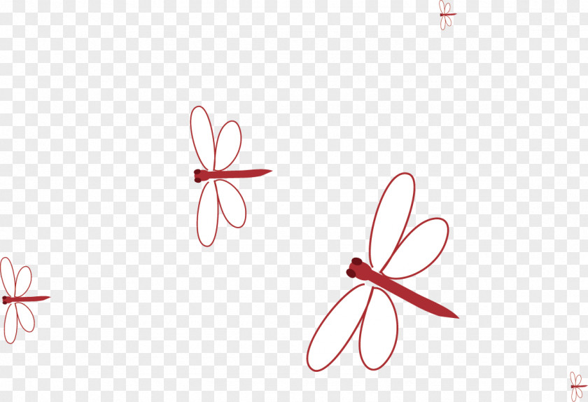 Dragonfly Insect PNG