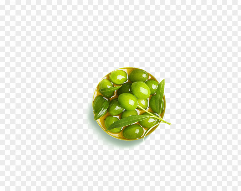 Olives Olive Download Google Images Icon PNG