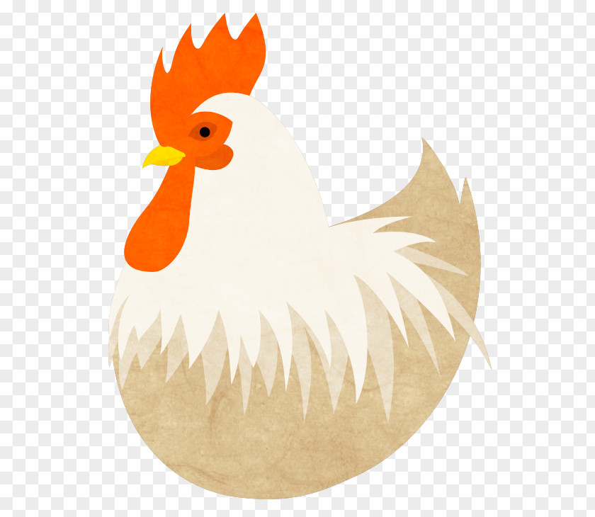 Pets Material Plane Chicken Rooster Illustrator PNG