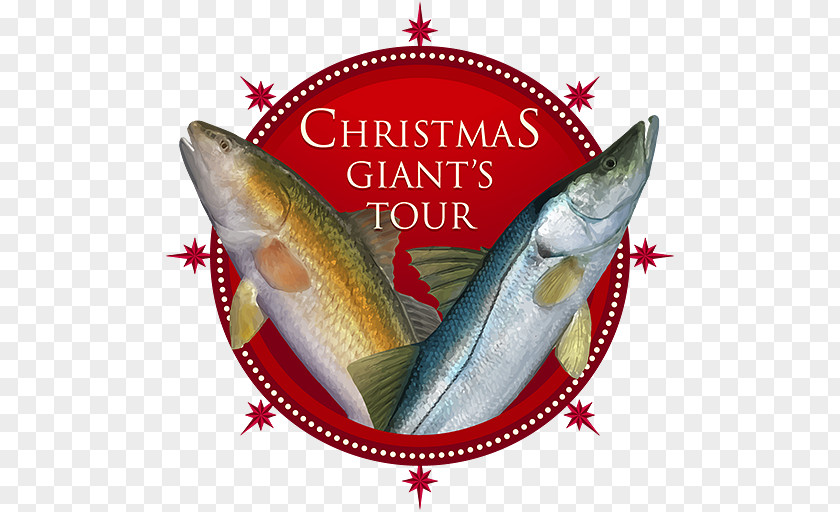 Santa Claus Fishing Planet Christmas Angling PNG
