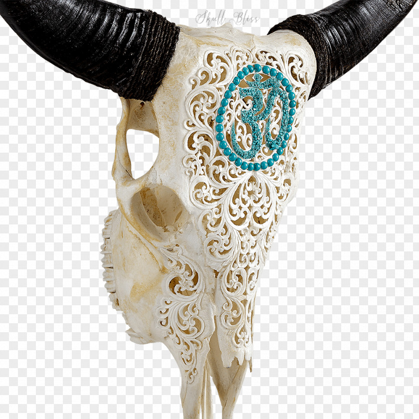 Skull Animal Skulls Turquoise Cattle XL Horns PNG