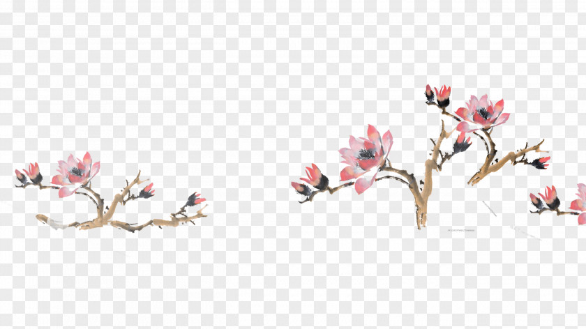 Classical Ink Lotus Cherry Blossom Floral Design Cut Flowers PNG