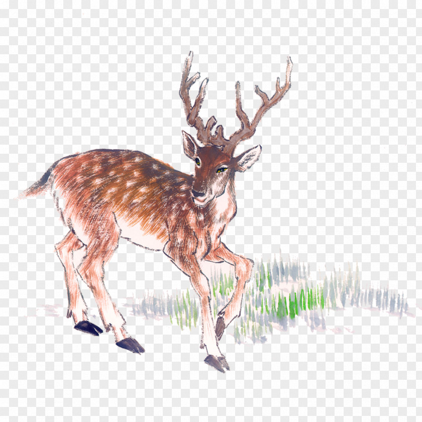 Deer Chinese Painting Ink Wash PNG
