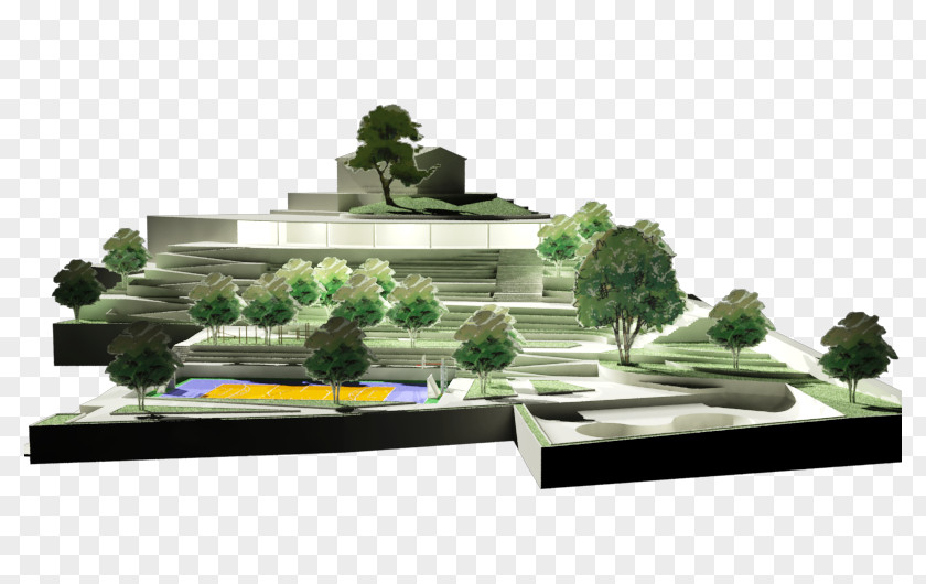 Design Scale Models Houseplant PNG