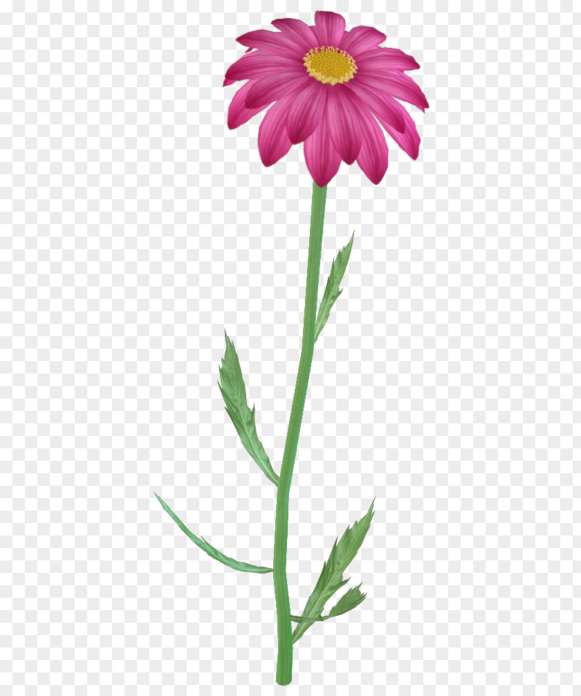 Pink Flowers Clip Art Flower Image Openclipart PNG