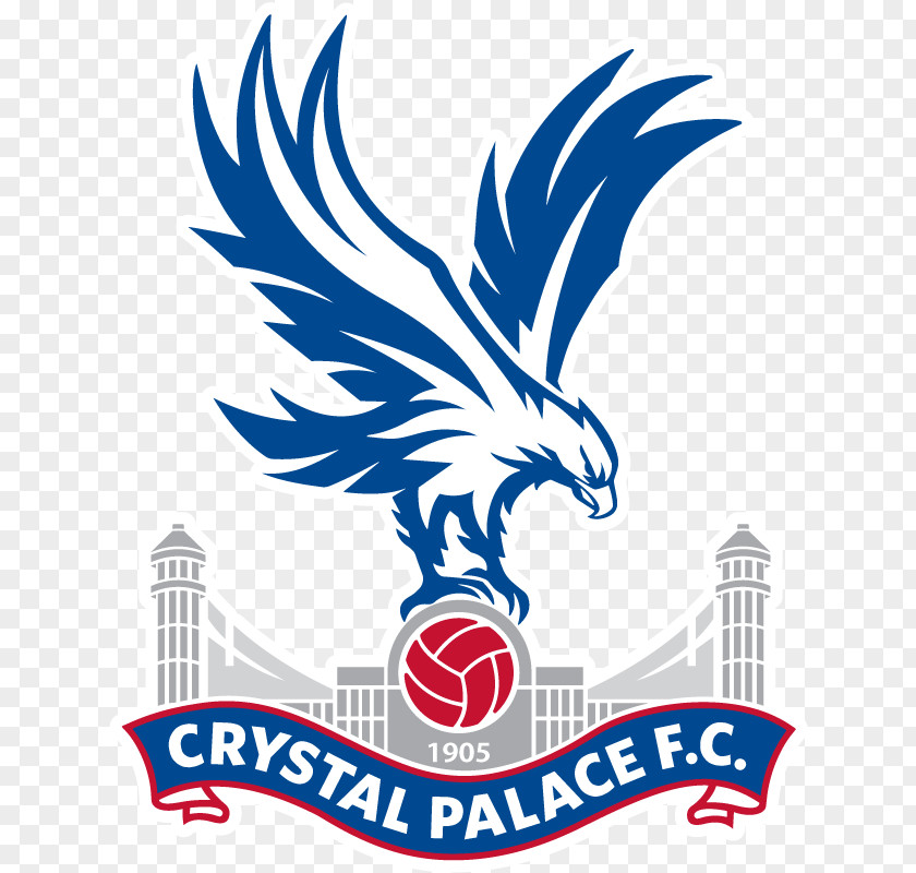 Premier League Crystal Palace F.C. L.F.C. Football FA Women's Championship PNG