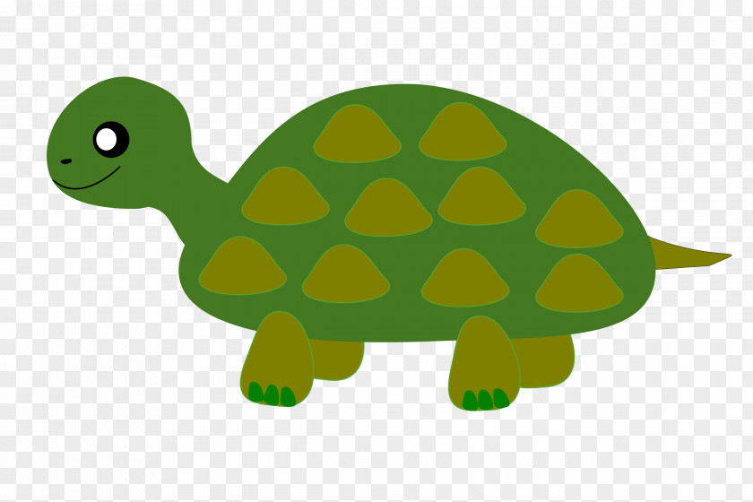 Turtle Download Clip Art PNG