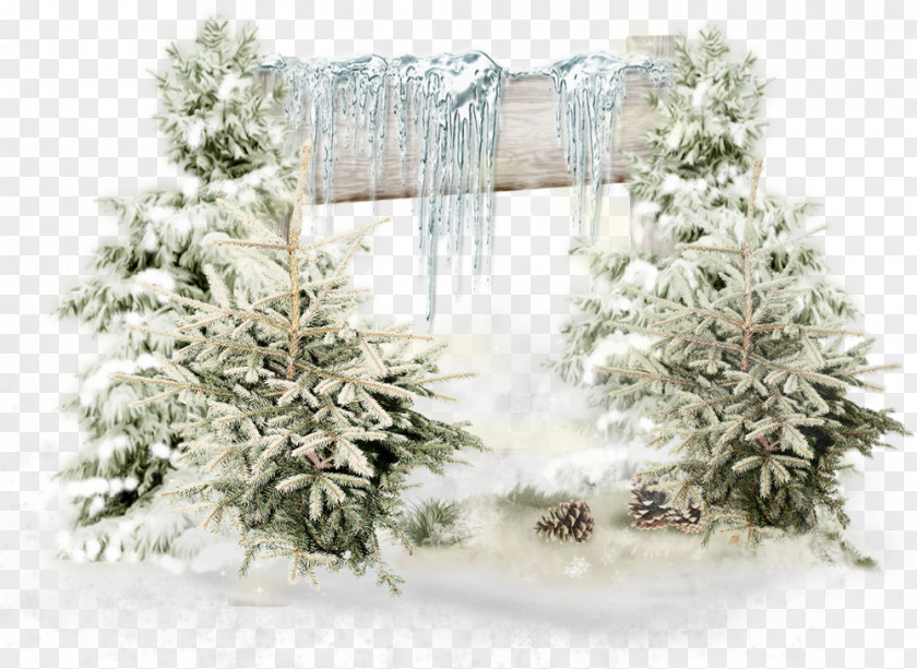 Arriere Plan Winter Drawing Snow PNG