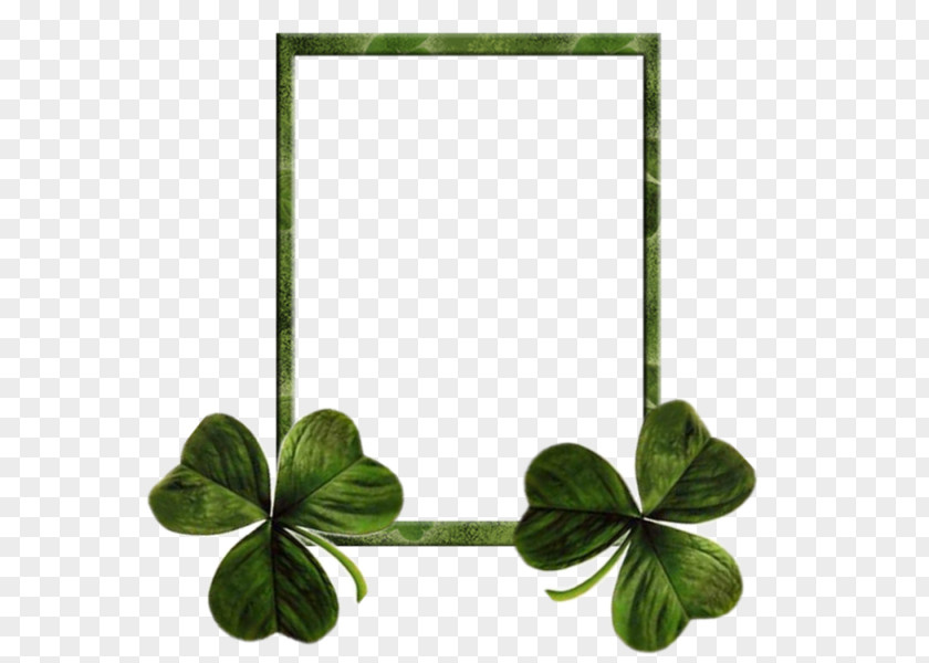 Clover Frame Ireland Saint Patricks Day Shamrock Holiday PNG