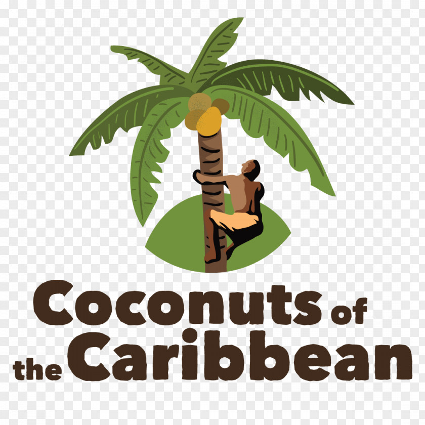 Coconut Day Jamaica Trinidad Tree PNG