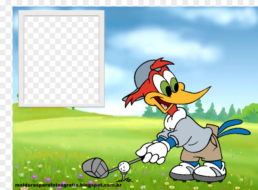 Donald Duck Woody Woodpecker Photography Picture Frames PNG