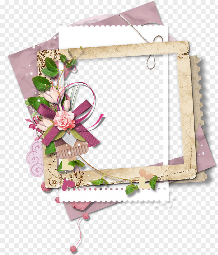 Ella Graphic Picture Frames Borders And Image Butterfly Frame PNG