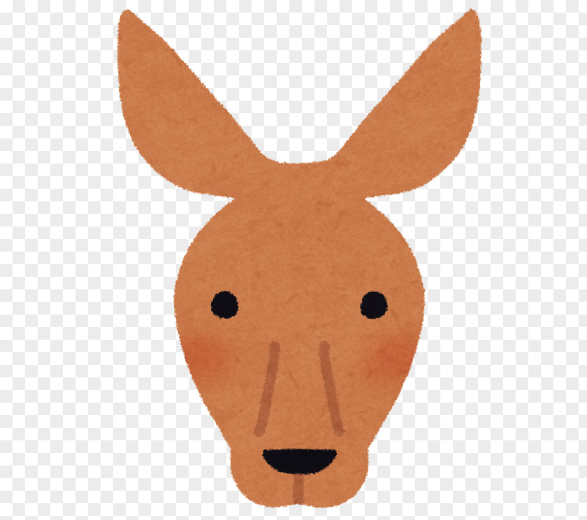 Face Macropodidae いらすとや Snout PNG