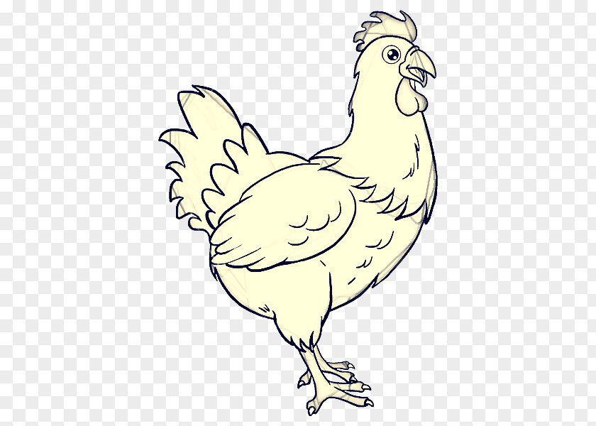 Fowl Livestock Bird Chicken Rooster Beak Comb PNG